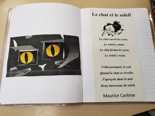 Poésie : le chat et le soleil