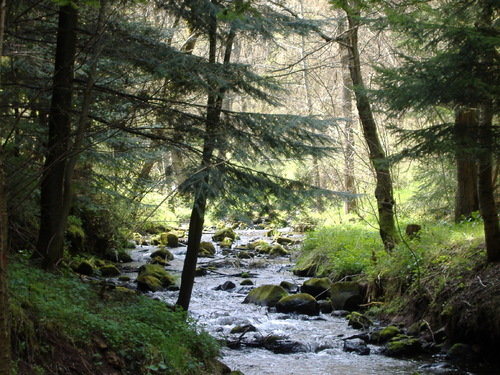 De l'eau et encore de l'eau