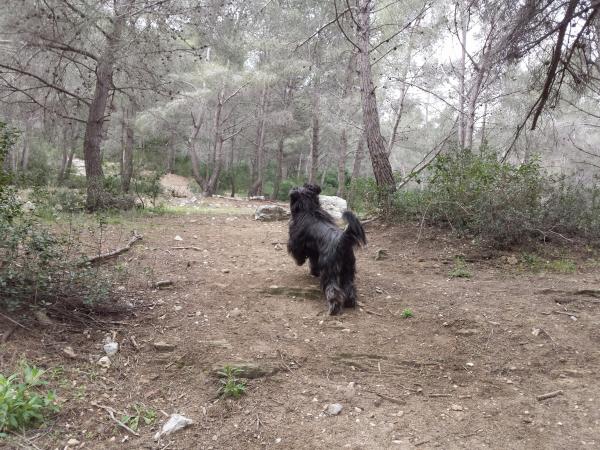 Rencontre traduction espagnol