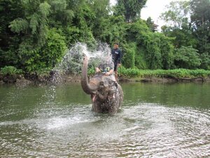 rainbow elephant spraying water