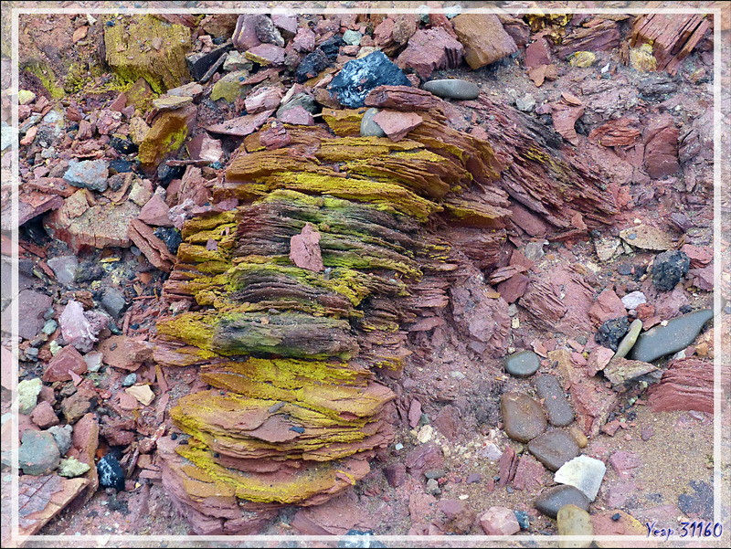 Les roches colorées de Smoking Hills (Smoking Hills's colorful rocks) - Cape Bathurst - Territoires du Nord-ouest - Canada