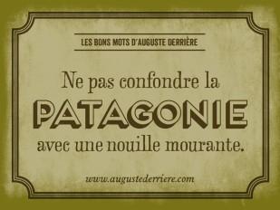 Humour: les jeux de mots d'Auguste Derrière - 44 images patagonie.jpg