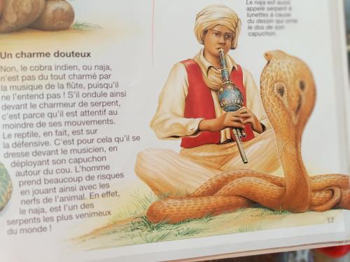 les serpents