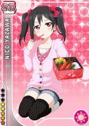 SR 217 Nico Event