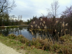 La preuve par les détours...Etanf du Mouchet et Bois de l'Âne...13.02.2022...