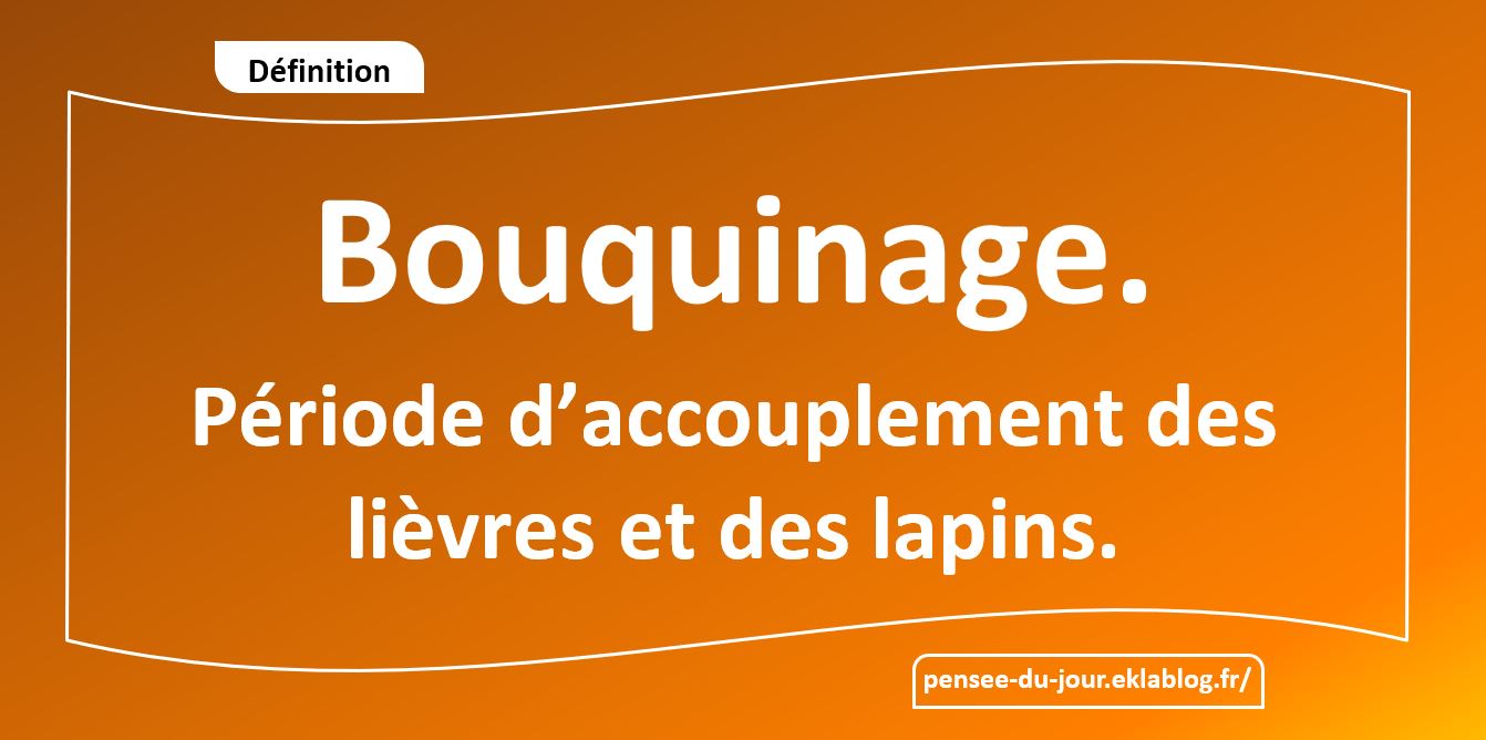 Bouquinage