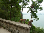 Hanoi et la baie d'Halong