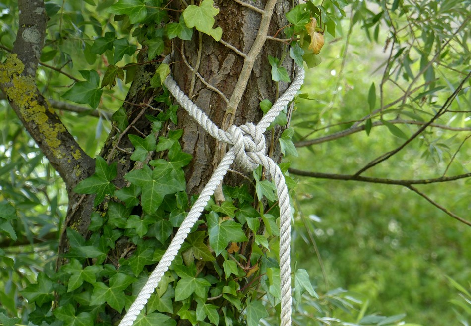 Le Marché sur l'Eau et sa fête, suite et fin