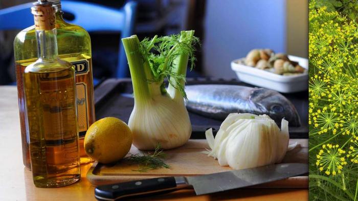 Les délicieuses herbes aromatiques et leurs vertus