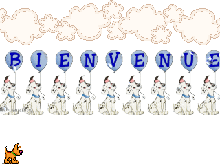 une petite nouvelle. DnSC63V02g3TK7BvgsjTnh8CdFQ
