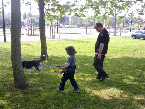 Que penser des harnais de promenade pour les jeunes enfants? 