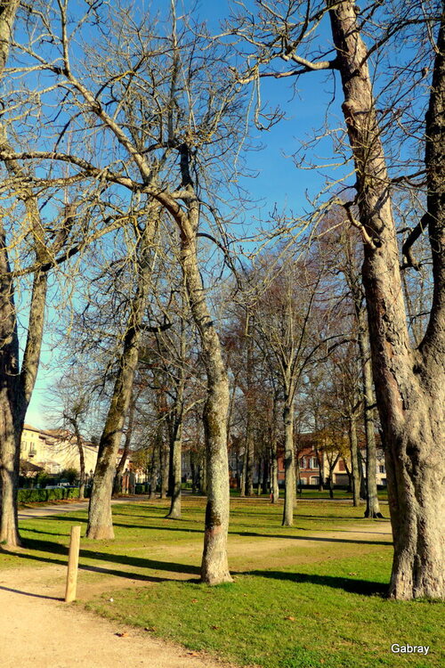 Gaillac : château et parc Foucaud... n 3