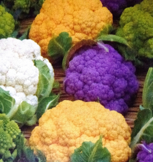 Légumes en couleurs !