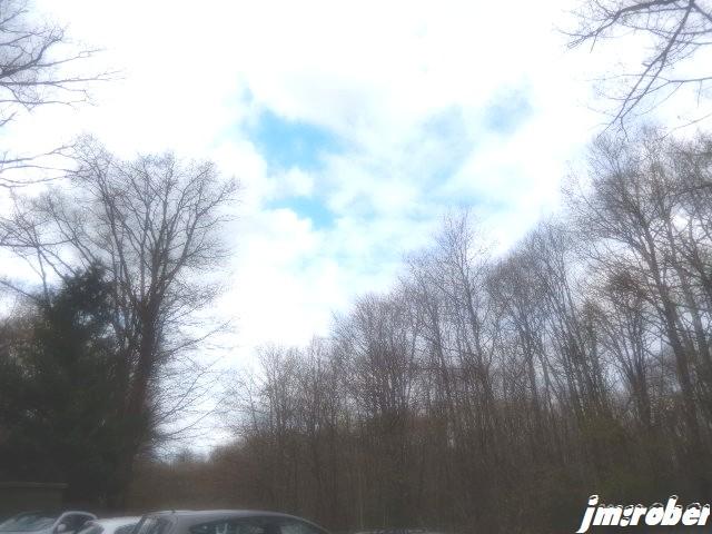 Nature : Promenons nous dans le bois.......