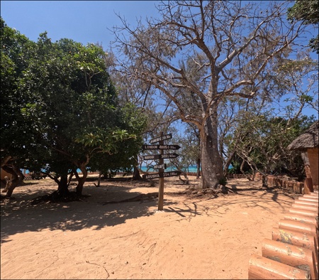 Île Prison, Zanzibar. 2023.