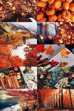 C'est l'automne