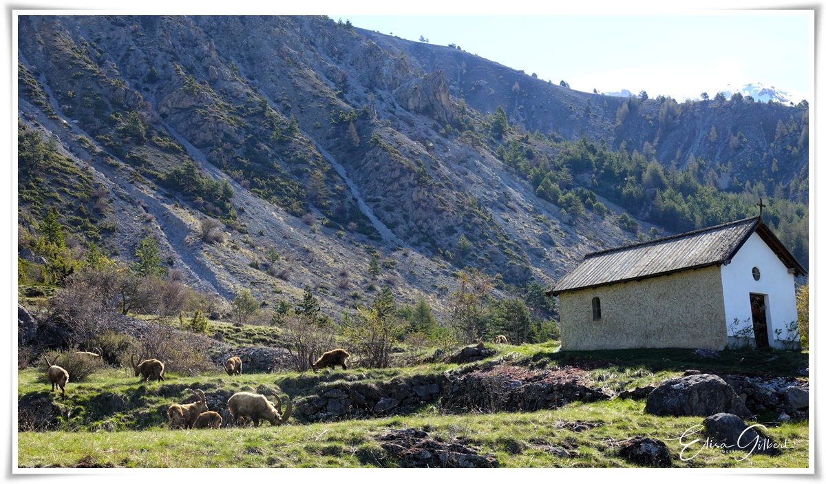 Saint Ours. Hte Ubaye