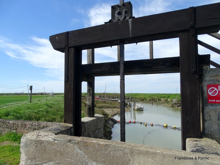 Bouin - Port de la Louippe - 85 