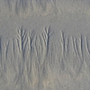 le guilvinec  foret de sable(6).JPG