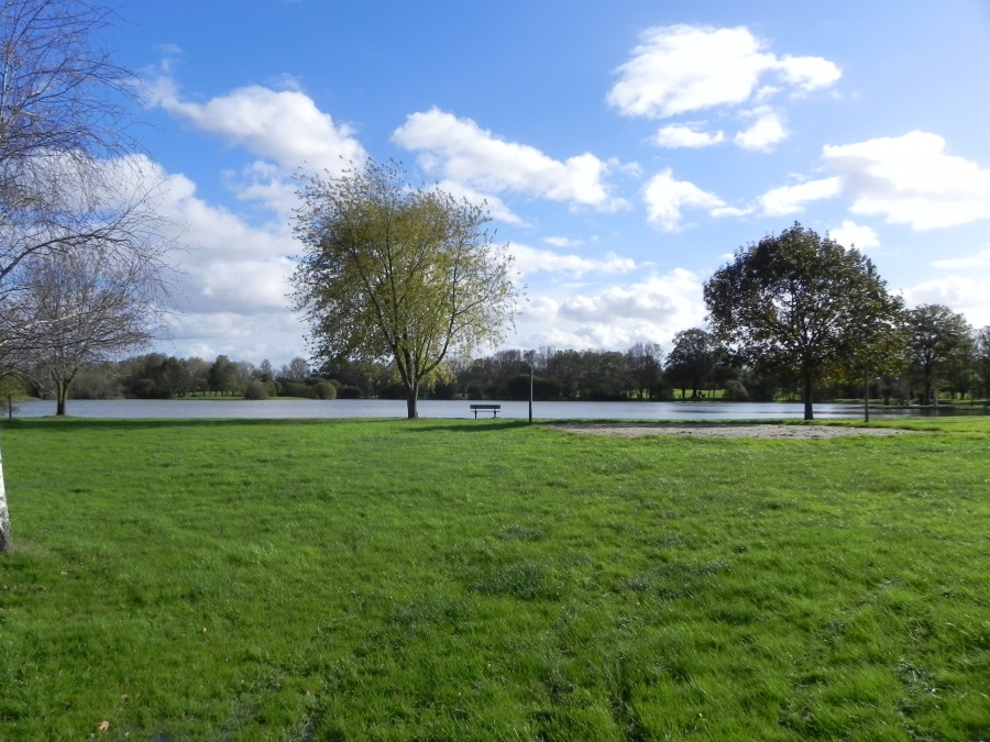 le lac à Saint Philbert de Grand-Lieu