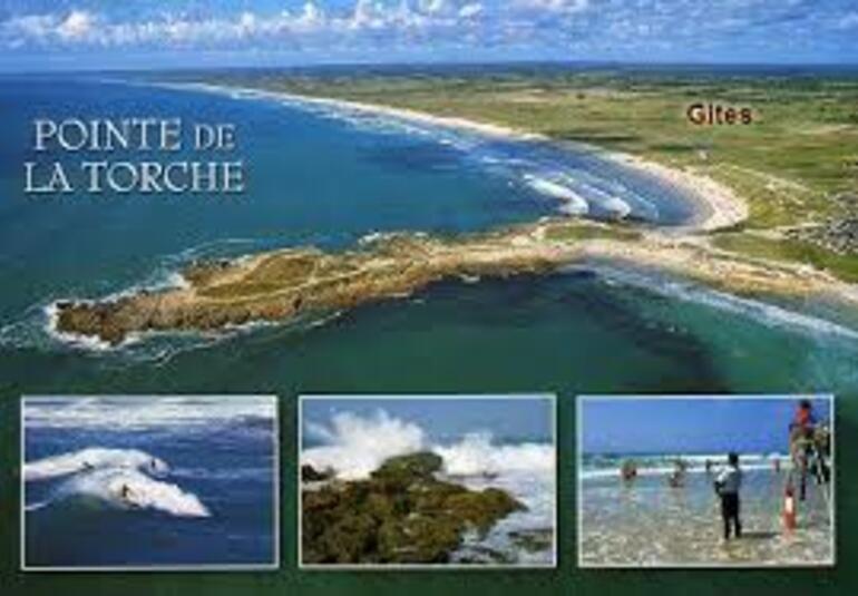                  **  EN BRETAGNE :"JACINTHES  & TULIPES de la TORCHE".(Finistère  29.S)