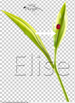 57. Effacer un détail sur un calque