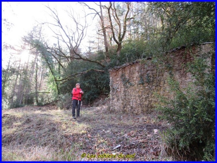 Les gorges de Trevans