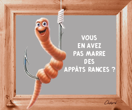 Afficher l'image d'origine