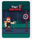 Pochette du jeu « Tiny Archer »