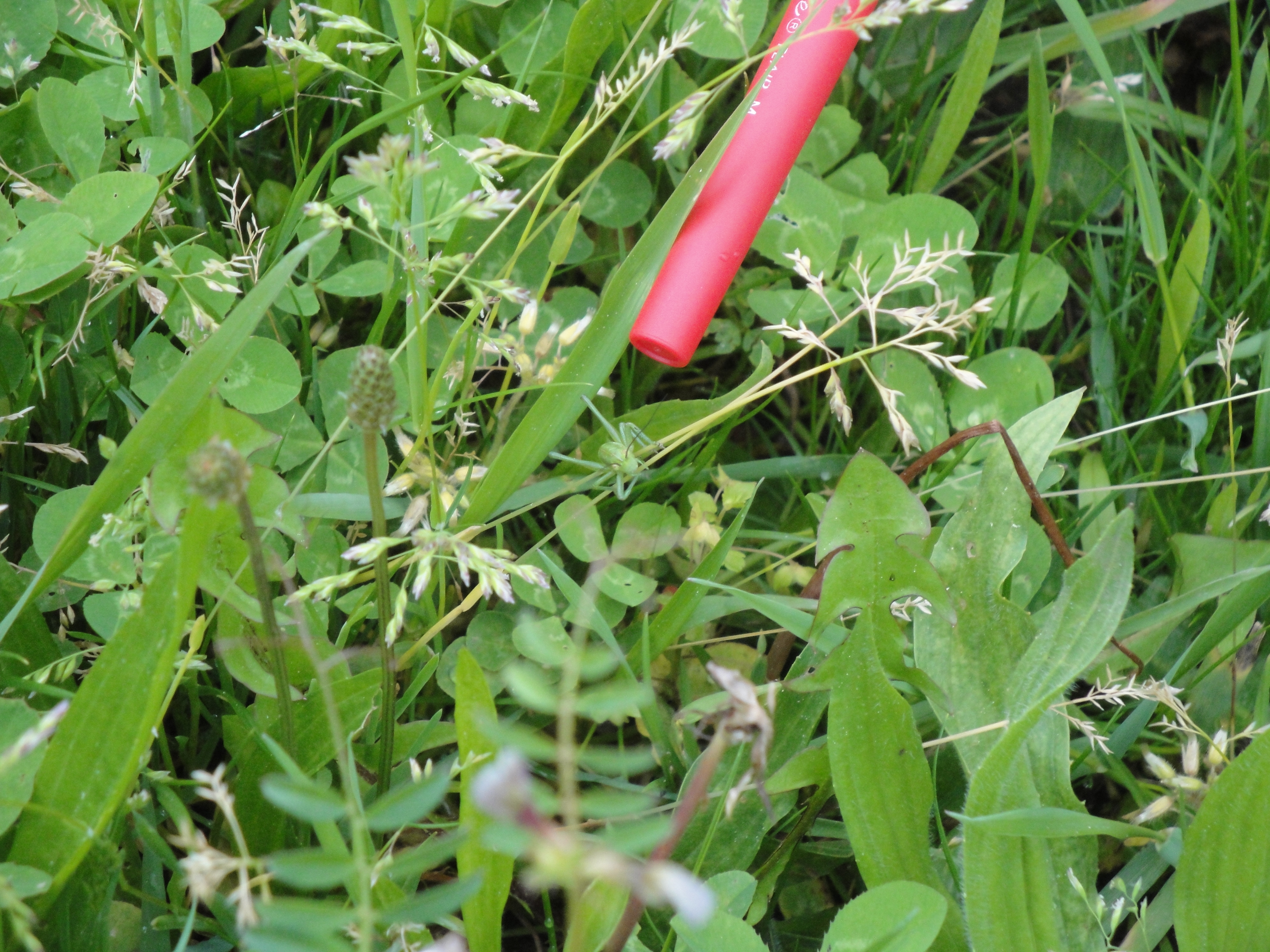 rencontre dans noiretable