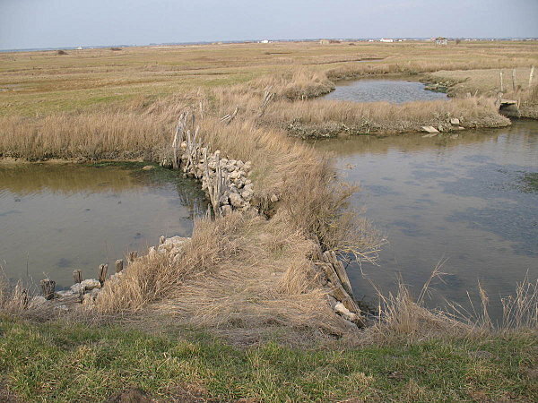 marais de souhe(12)