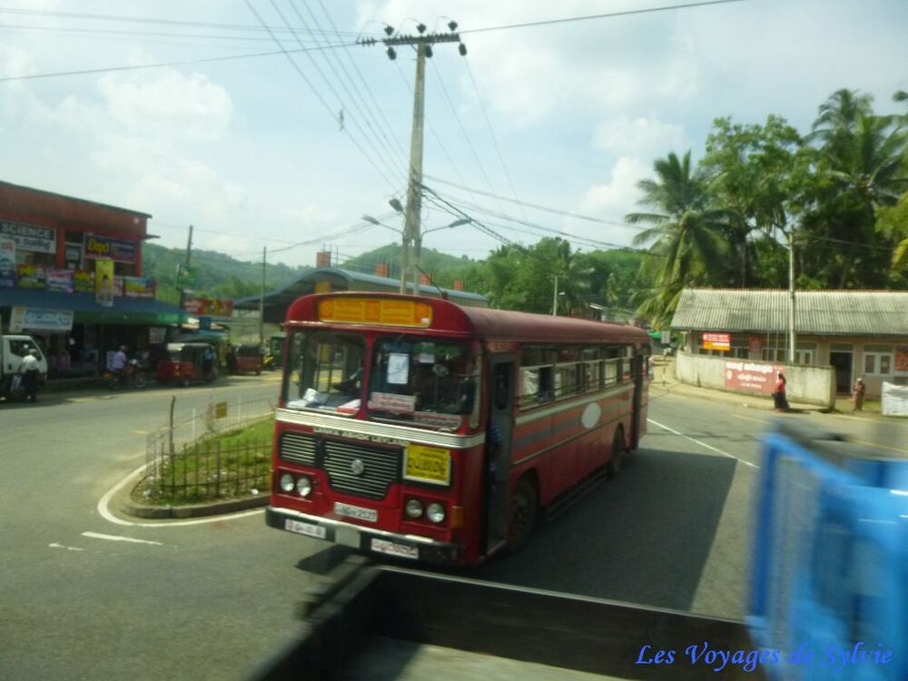  SRI LANKA paysage au fil de la route