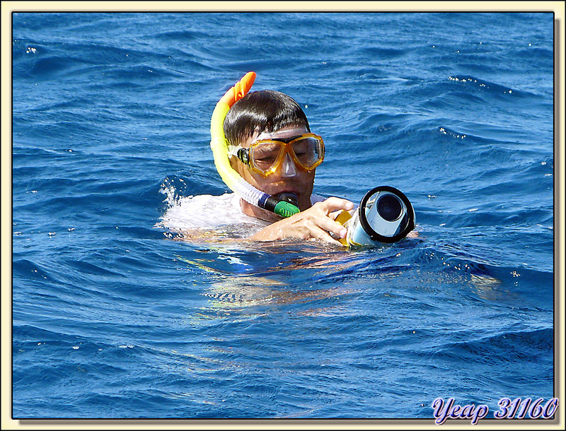 En attendant mon tour de plongée avec la bouteille sur le dos, le tuba fera l'affaire - Bora Bora - Polynésie française