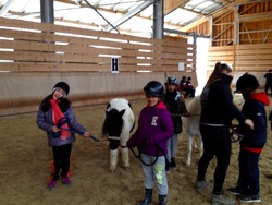 Classe poney à Truchtersheim - du 14 au 18 mars 2016