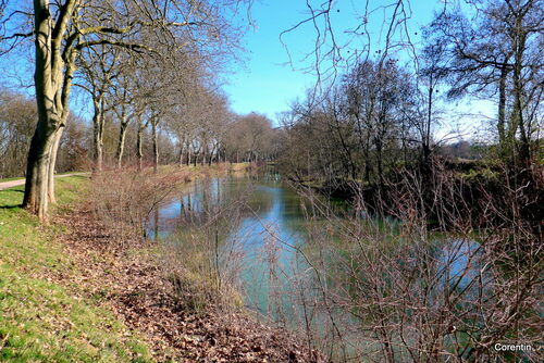 Canal du Midi  (1)