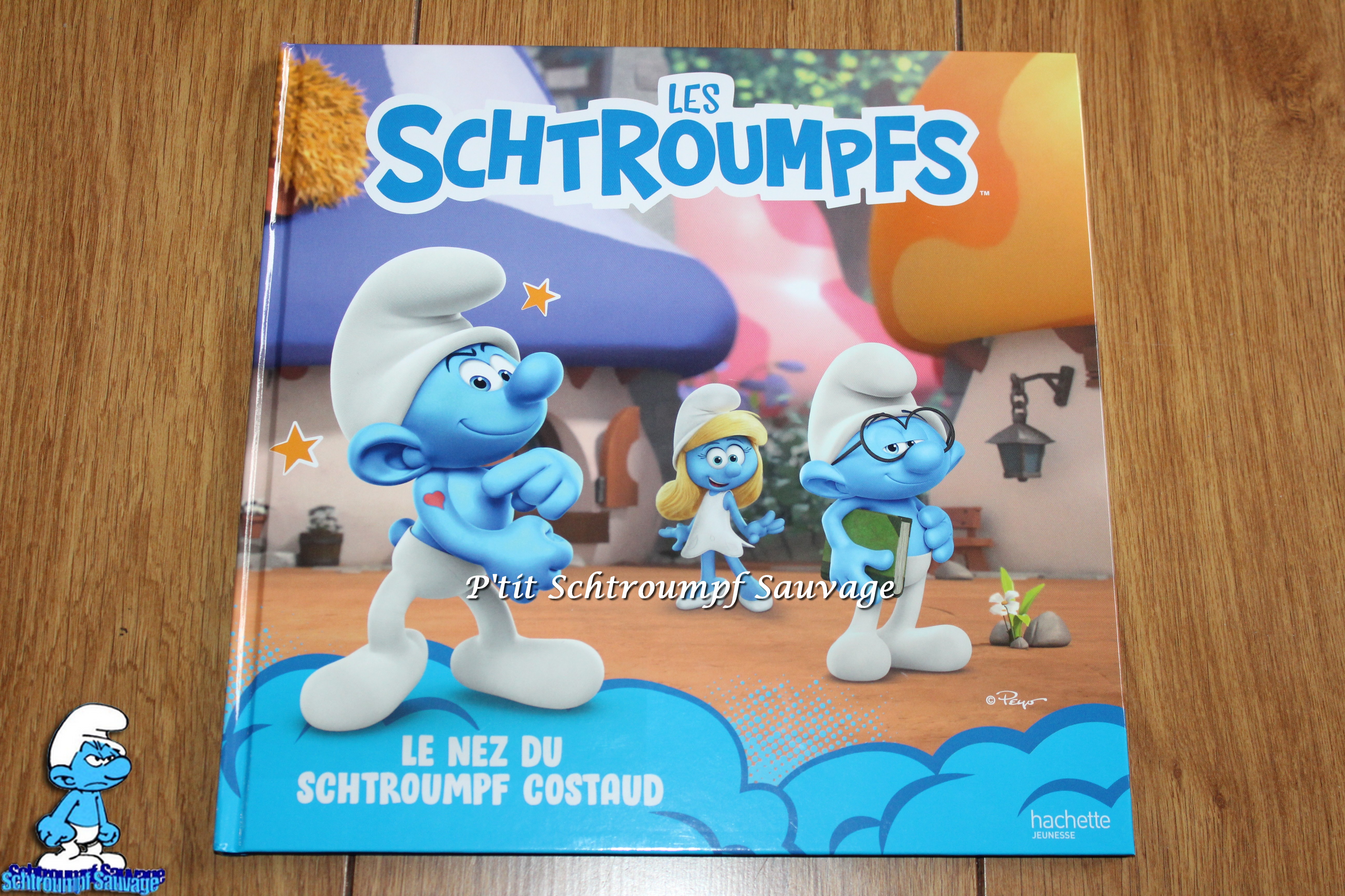 Coloriage Schtroumpf Et Le Village Perdu Livres/Livres jeux en français - (page 3) - Schtroumpf Sauvage