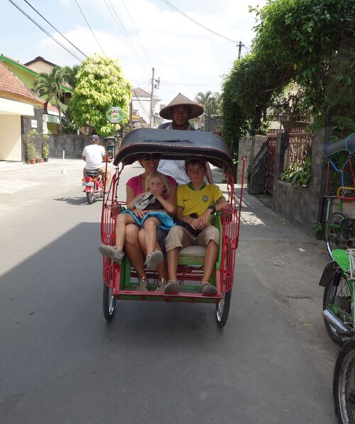 3 au 14 juin : Bali  Nord et Java Est