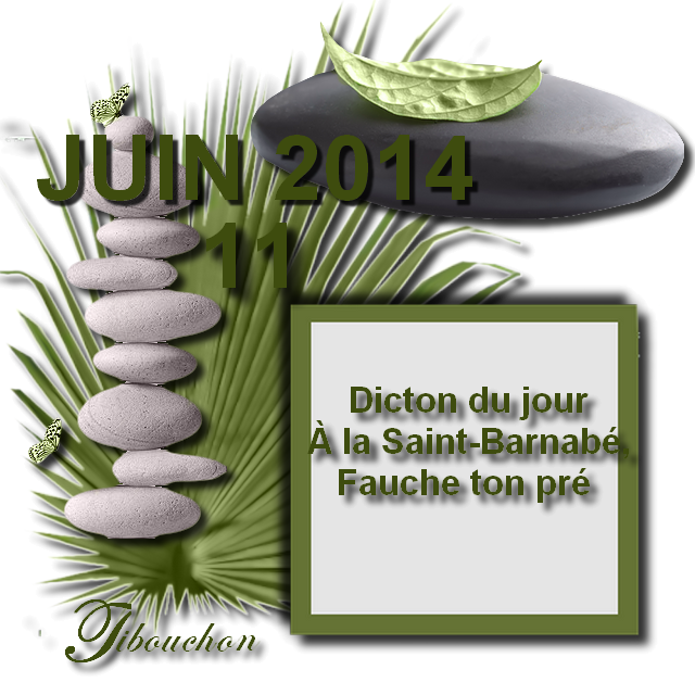 ╠♥╣ DICTON DE JUIN