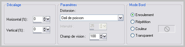 Lunettes du futur