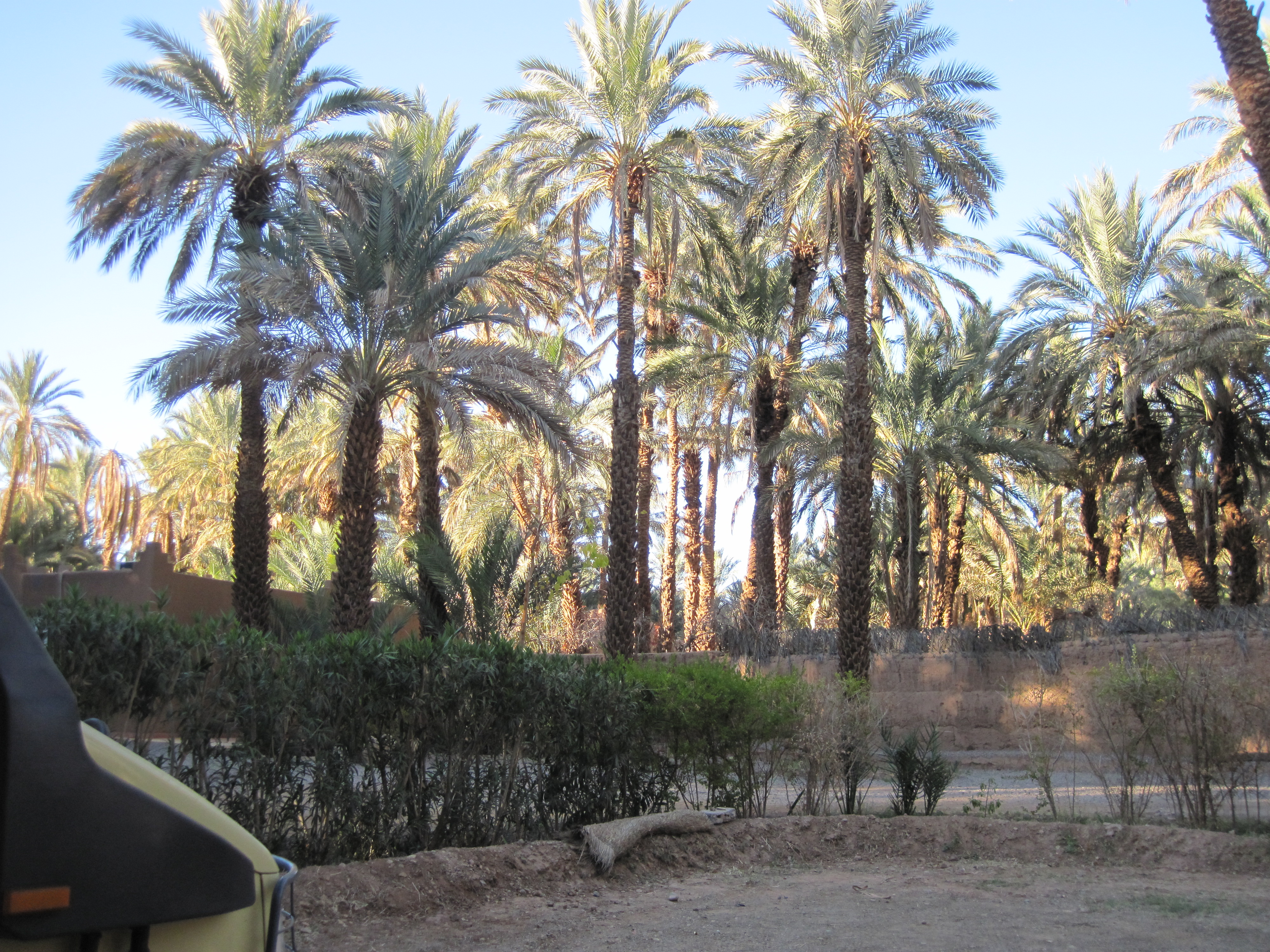 Maroc Camping d'Amezrou