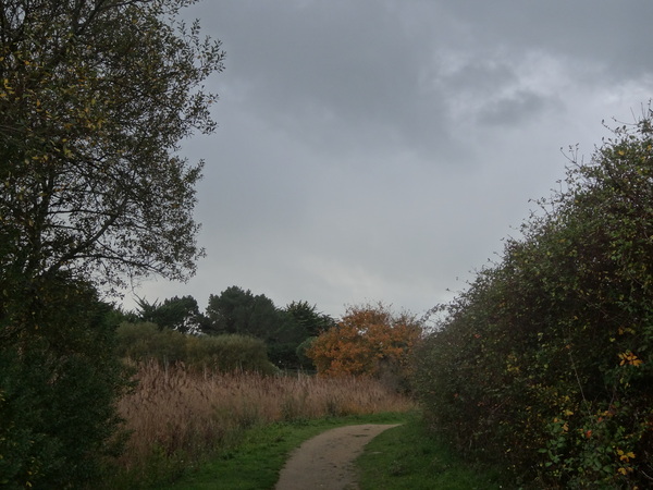 L'étang de Brandu au mois de novembre avant la tempete