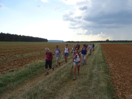 "Les Hauts de France" - Mercredi 16 septembre 2020