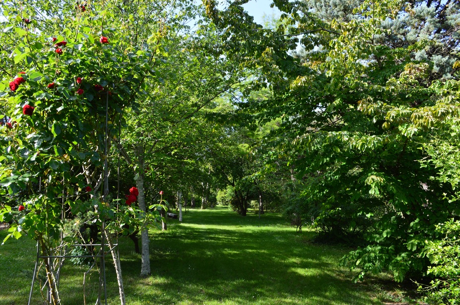 Le jardin botanique du Prieuré d'Orchaise