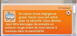 La vie de famille n'est pas un long fleuve tranquille