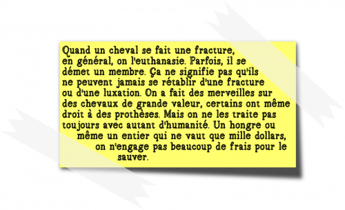 Cavaler seule Kathryn Scanlan