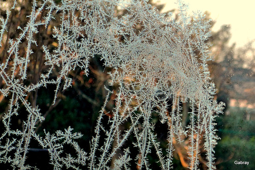 Quel froid dans le Toulousain !