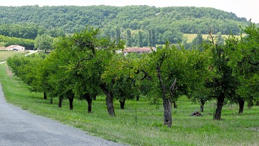 France, tu meurs à l'arrachée !!! 