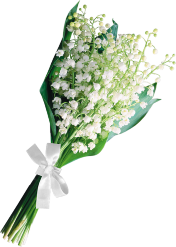 Muguet ( bouquet )