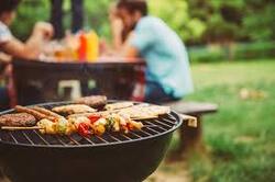 Electric BBQ Grill Reviews - Buy Electric, Charcoal and Propane Grills At Best Prices