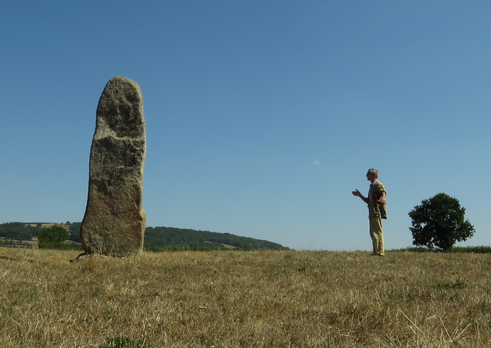 Menhir de Genay La grosse borne